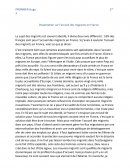 Dissertation Ironique Accueil des Migrants en France