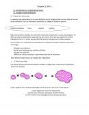 Chap 2 les spongiaires