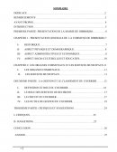 Rapport de stage Ressources Humaines et Communication