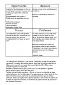 CPET BTS HR SWOT