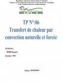 TP : Transfert de chaleur par convection natirelle et forcée