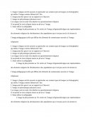 L'image et la langue