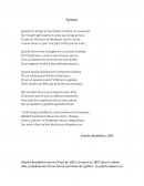 Analyse de Spleen