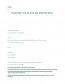 Rapport de stage Orthopédie