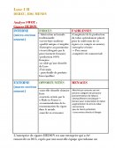 Analyse swot hedon