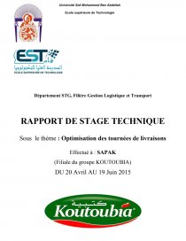 exemple rapport de stage bac pro logistique