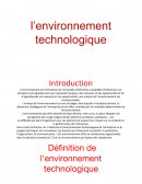 Management: l'environnement technologique