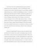 Dissertation sur l'expérience combattante durant la premiere guerre mondiale