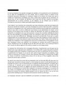Initiation à la gestion travail 1