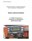 Dossier action de promotion Bac Professionnel Commerce