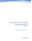 Analyse pratique professionnelle