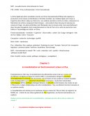 La mondialisation en fonctionnement acteurs et flux