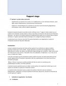 Rapport de stage 1ere partie Assistante sociale