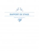 Rapport de stage en Néphropédiatrie