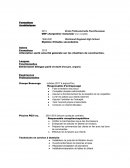 Curriculum vitae