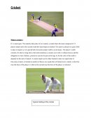 What is cricket ?