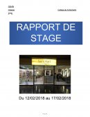 Rapport de stage 3e