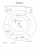 Management, fiches de révision