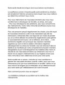 Santé et émotions