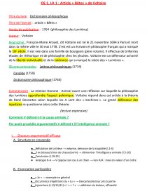 Dissertation Sur Une Citation De L Ingenue Du Livre De Voltaire 1ere Francais
