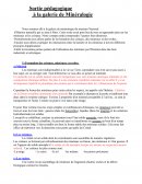 Cours sur les minéraux