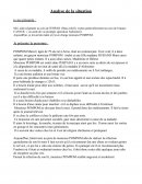 EXEMPLE d'analyse de situations