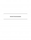 Introduction droit de l'environnement