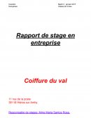 Rapport de stage en salon de coiffure