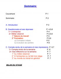 Rapport De Stage Dans Un Sallon De Coiffure