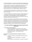 Le conseil constitutionnel: un garant de la protection des droits fondamentaux