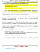 Droit commercial / droit des affaires