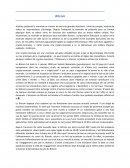 Le bitcoin, courte synthèse