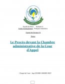 Le procès devant la chambre administrative de la cour d'appel de Lomé