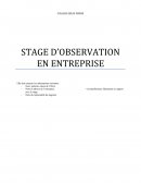 Rapport de stage exemple