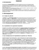 Les gisements