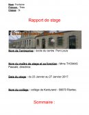 Rapport de stage école primaire