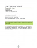 Rapport de stage d'observation