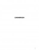 Carabreizh - Etude marketing