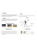 Volley-ball