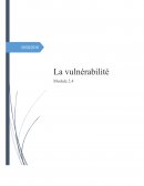 La vulnérabilité