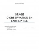 Rapport de stage d'observation en entreprise