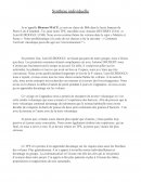 Synthèse individuelle