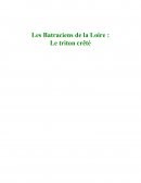 Les batraciens de la Loire