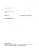 Rapport de stage undiz