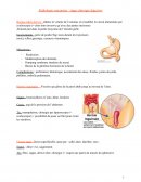 Pathologie chirurgie digestive
