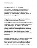 Immigration policy in the USA today