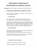 Organisation anatomique et fonctionnelle du système nerveux