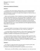 Devoir 01 management des entreprises