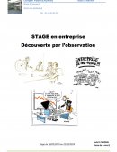 Stage en entreprise : découverte par l'observation