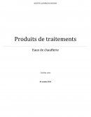 Les institutions et la vie politique en France 1958-1981